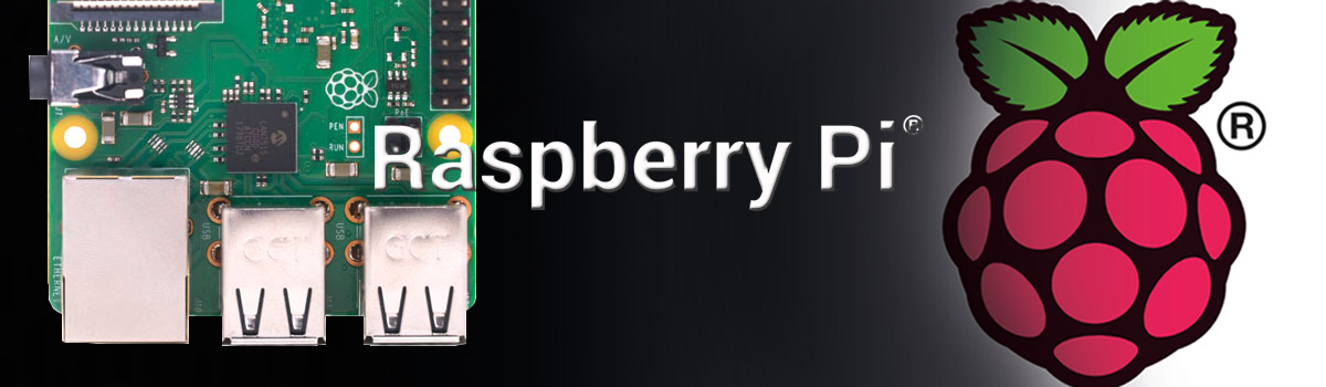 Raspberry Pi banner